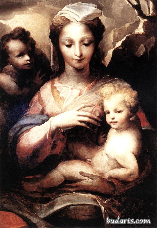 圣母玛利亚与婴儿基督和施洗圣约翰