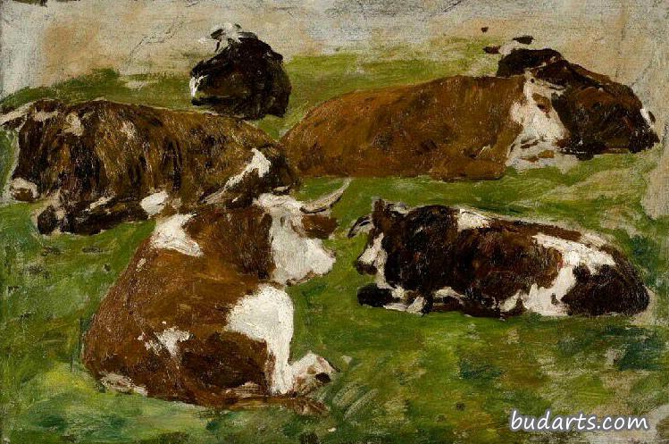躺在草地上的奶牛