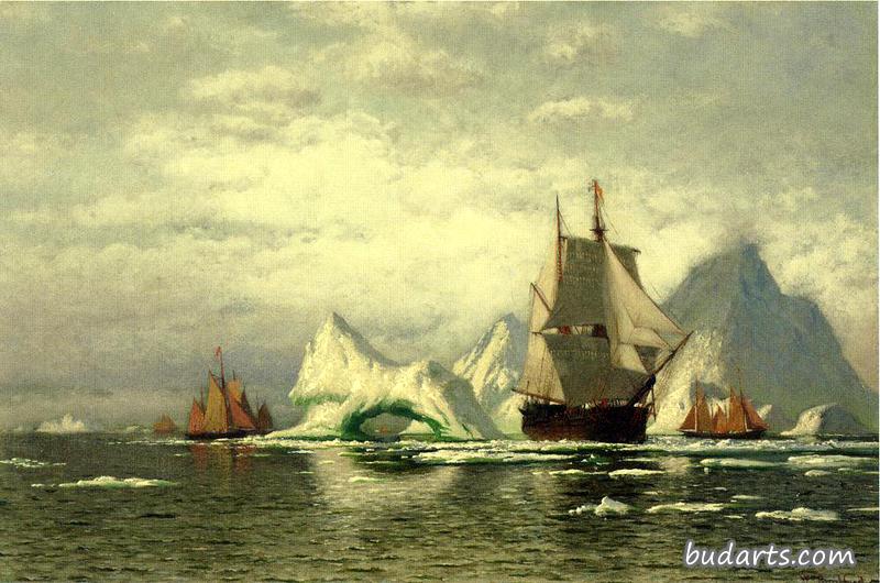 北极捕鲸船在冰山间返航