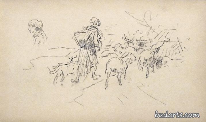 绵羊和牧羊女的习作