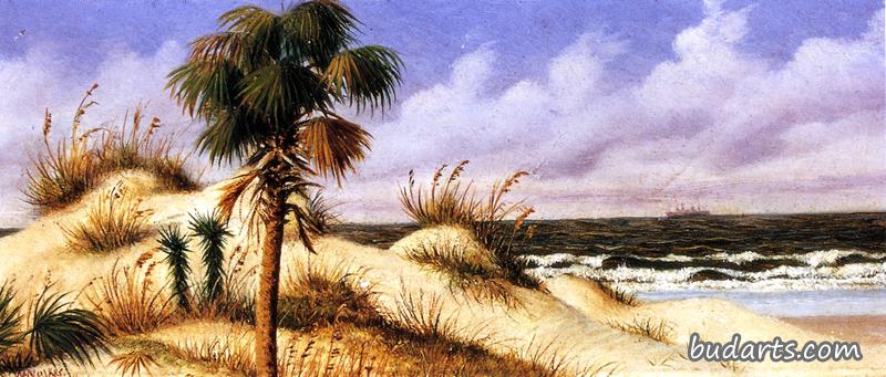 佛罗里达海景，有沙丘、棕榈树和轮船