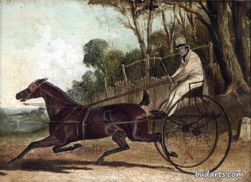 响尾蛇，一匹快跑的马，套在马车上