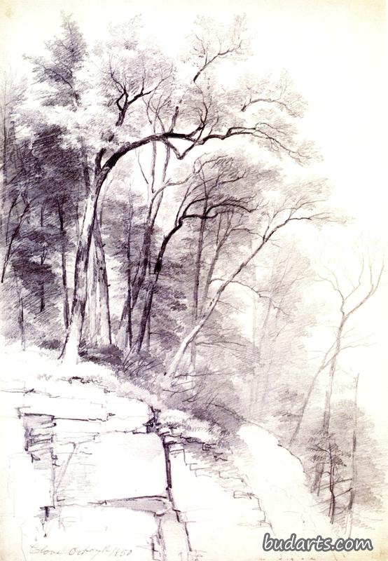 树木和岩石的习作，Kaaterskill丁香，纽约