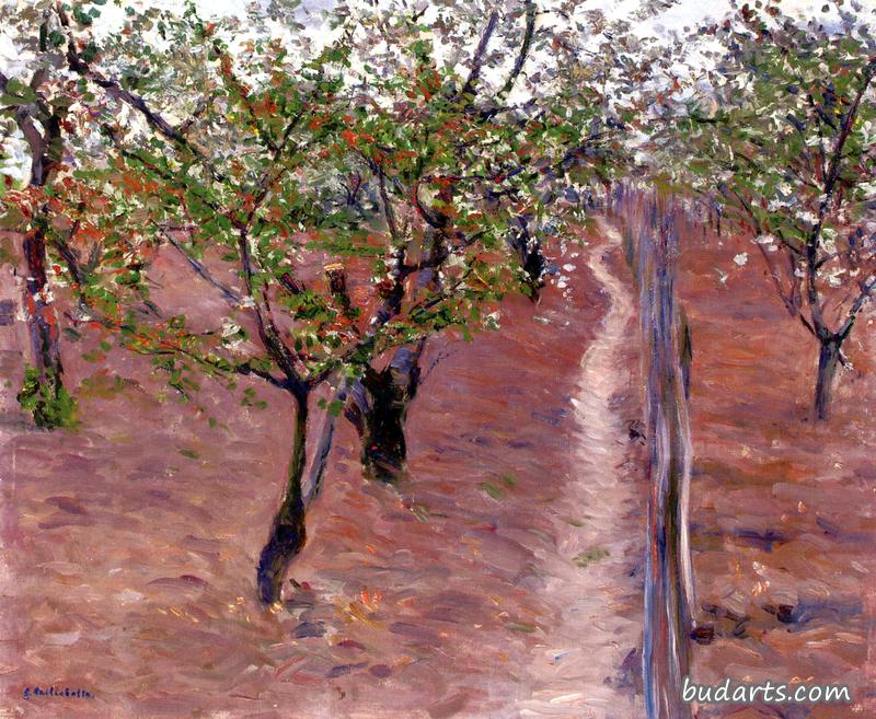 Orchard, Trees in Flower, Petit Gennevilliers