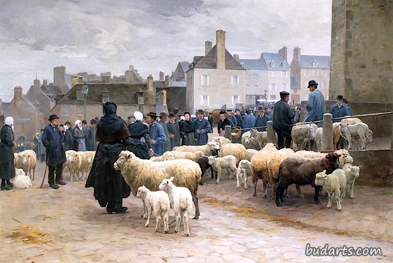 英国绵羊市场