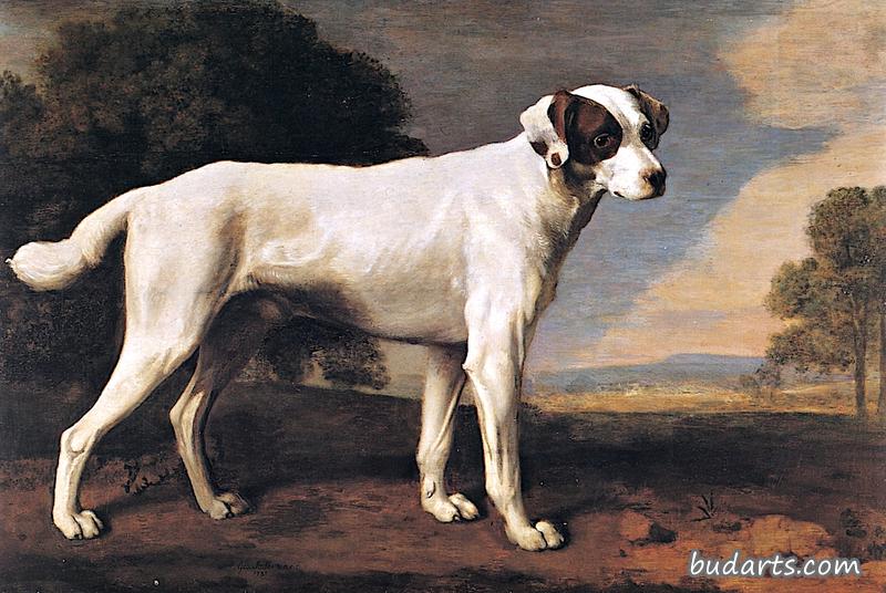 戈曼斯顿子爵的白狗