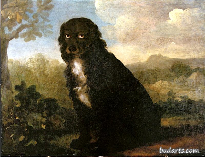 瓦肯，一只黑色的猎犬，在风景中