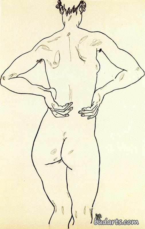 女性裸体，双手放在臀部，从后面看
