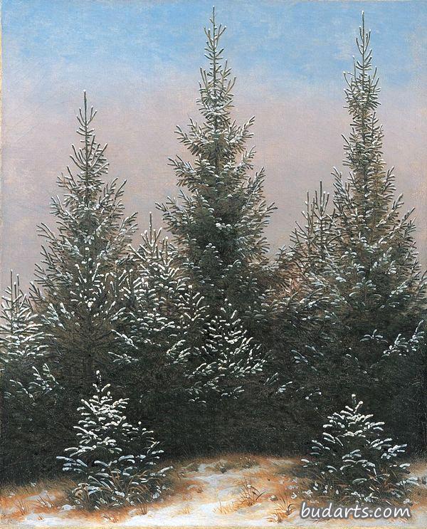 雪中的云杉灌木丛（摘自《德累斯顿·海德一世》）