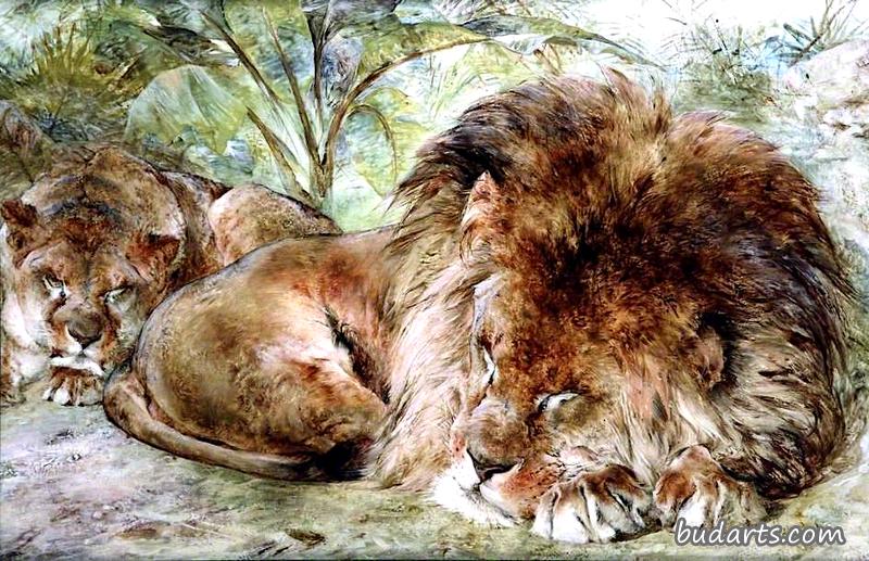 午睡，睡狮
