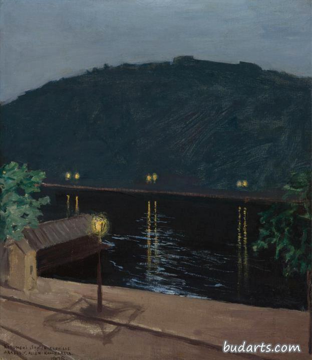 布达佩斯多瑙河上反射的夜光