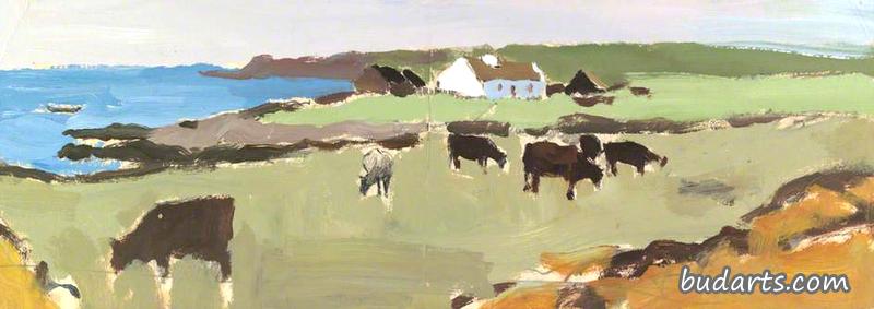 牛，白色的小屋和海岸