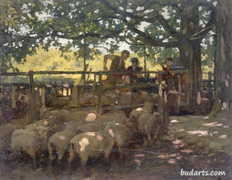 羊和农场工人