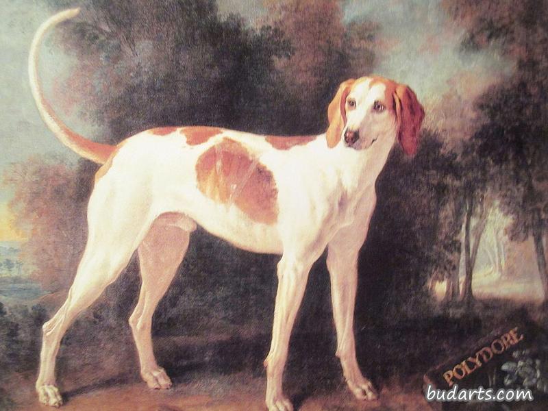 波多尔，路易十五的狗
