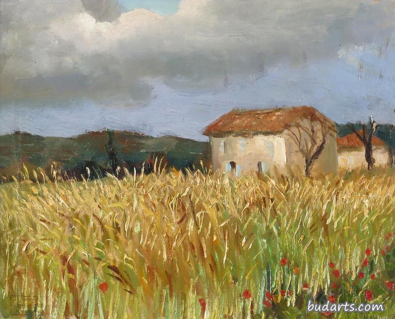 普罗旺斯的小麦和小农舍