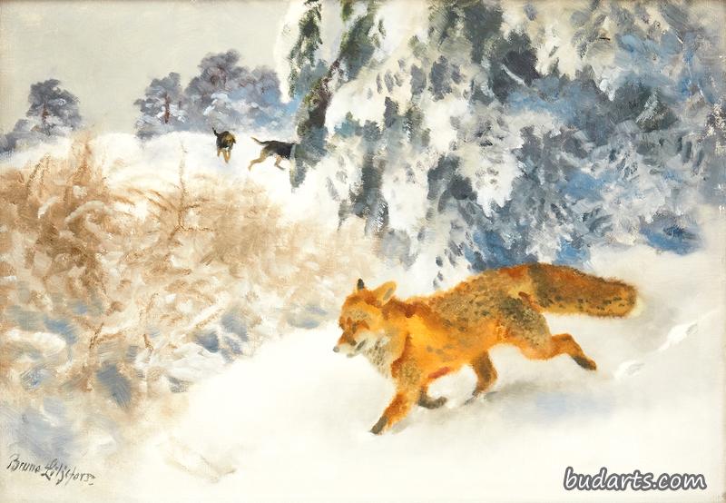 冬季风景中的狐狸和猎狗