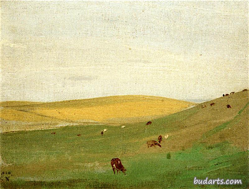 the downs, cattle grazing