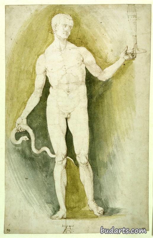男裸体，带玻璃和蛇，即阿斯克勒庇俄斯
