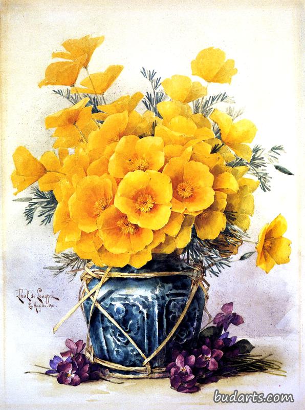 中国花瓶里的加州罂粟花