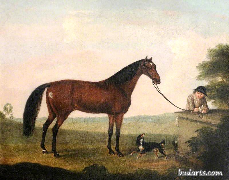 一匹棕色的马，一只猎犬和一个新郎