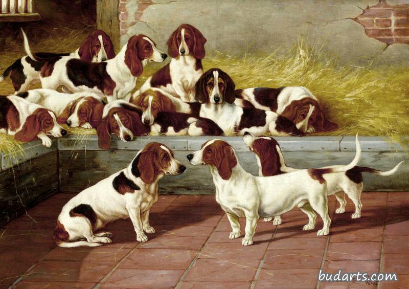 a pack of basset hounds