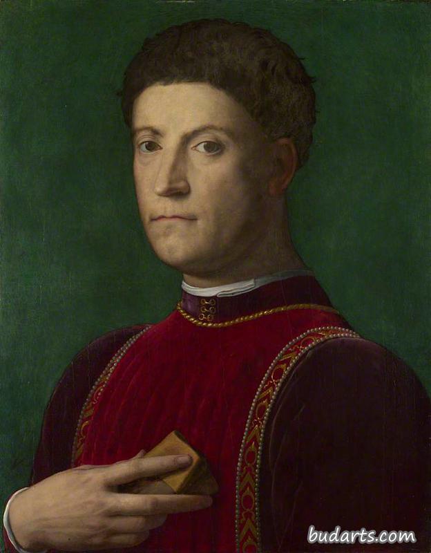 Portrait of Piero de' Medici