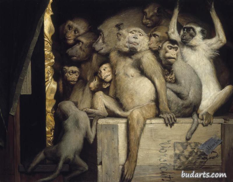 猴子是艺术的评判者