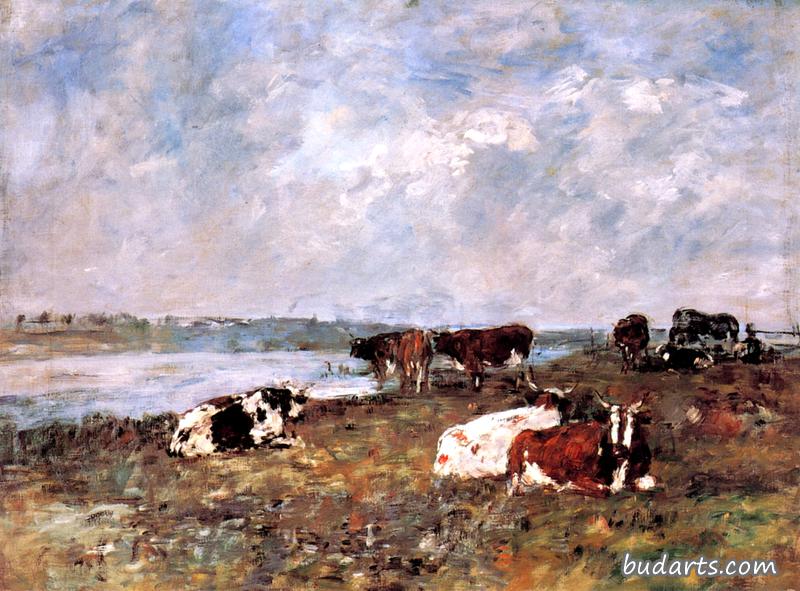 图克河岸上的牛