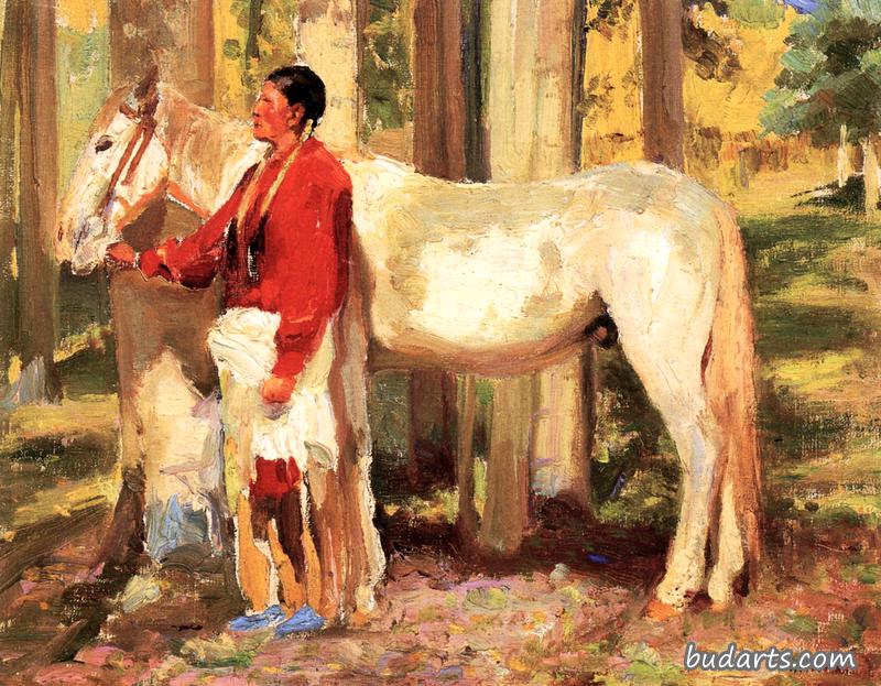 陶斯印第安人和他的马