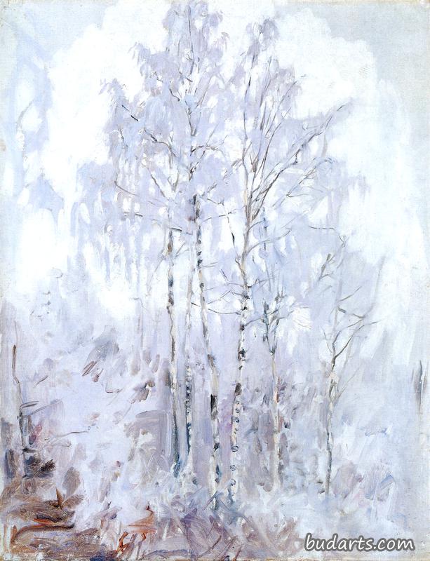 霜桦树