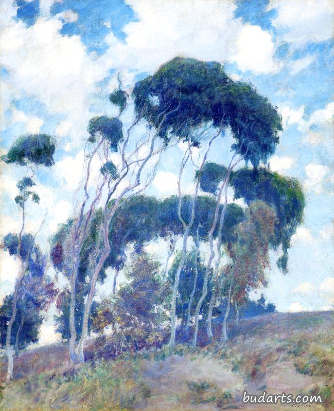 windswept trees, laguna