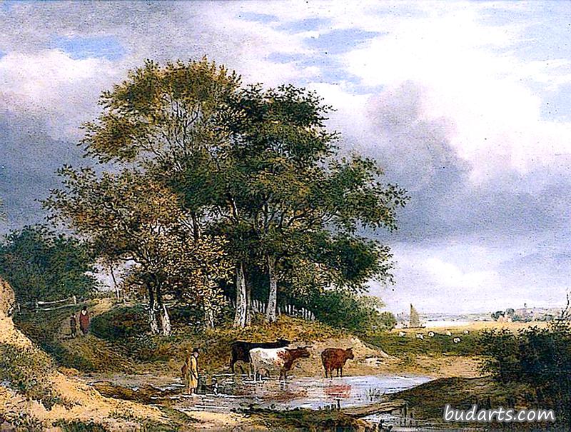 一丛树旁的池塘里有奶牛的风景