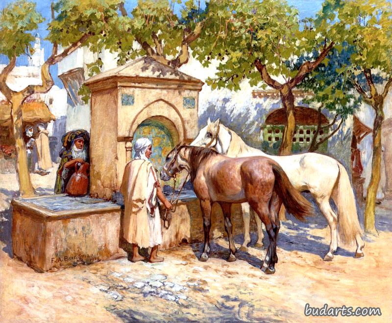 马在饮水突尼斯