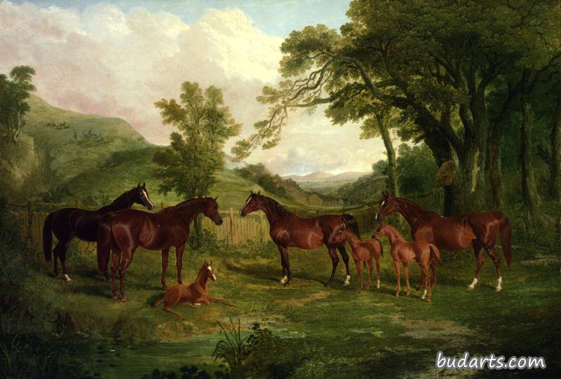 史翠兰种马、母马和马驹