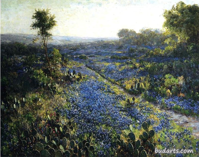 德州蓝莓和仙人掌