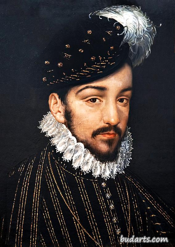 查理九世的肖像