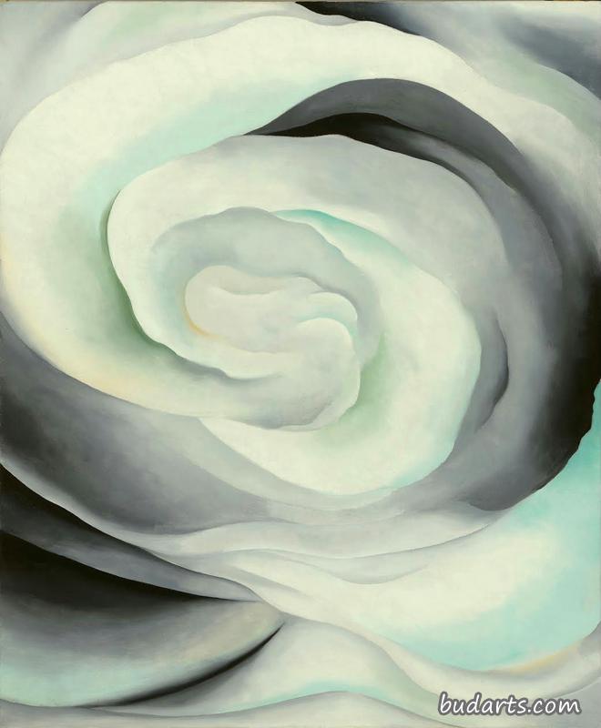 抽象白玫瑰