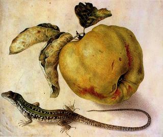 Still Life with an Apple and a Lizard