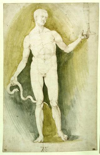 Male Nude with a Glass and Snake, so-called Asclepius