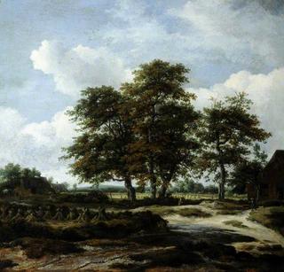Low Waterfall in a Hilly Landscape