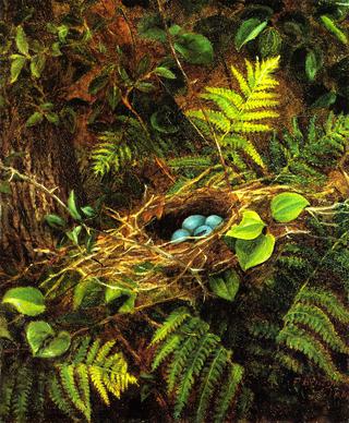 Still LIfe with Robin's Nest