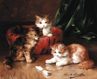 three young kittens