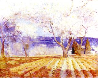 Fruit Trees in Blossom, Algiers