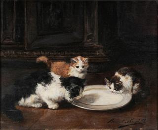 three kittens drinking milk