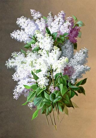 Floral Still Life with Lilacs