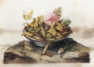 A Still Life With A Bowl Of Sugar-Snap Peas, And Pink Roses