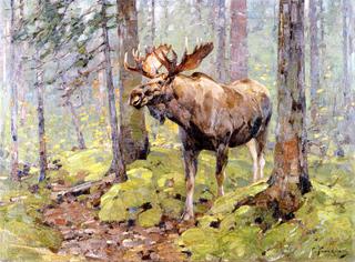 Moose in the Woods
