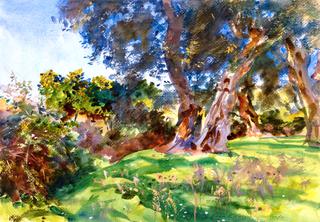 Olive Trees, Corfu
