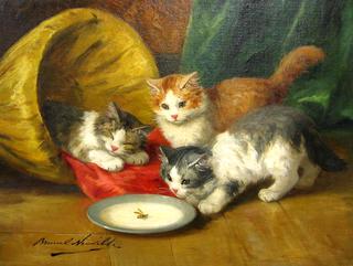 three kittens with a saucer of milk