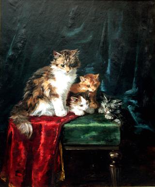 portrait of a cat family